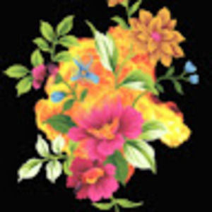 Meet your Posher, Diane